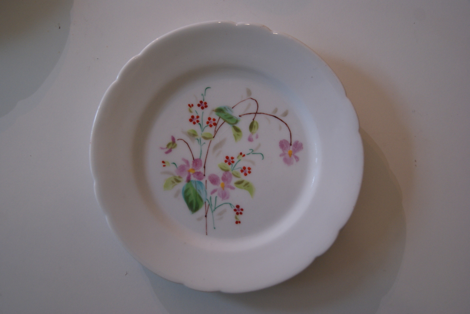 Fraureuth plate with flowers, pink and red flowers with leaves