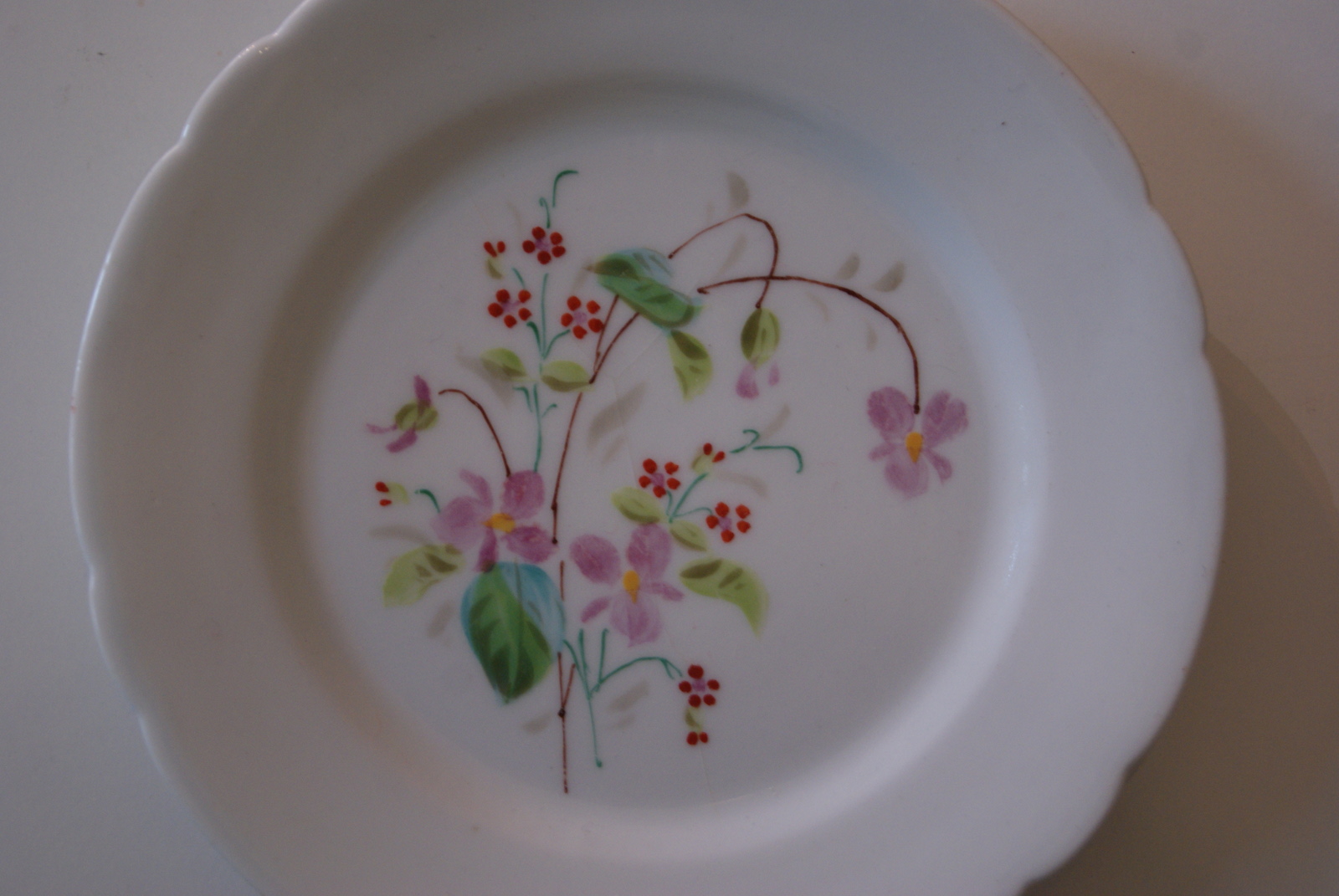 Fraureuth plate with flowers, pink and red flowers with leaves