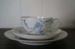 Porsgrund cup with saucer and plate with blue flowers