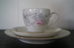 Porsgrund cup with saucer and plate with roses and leaves