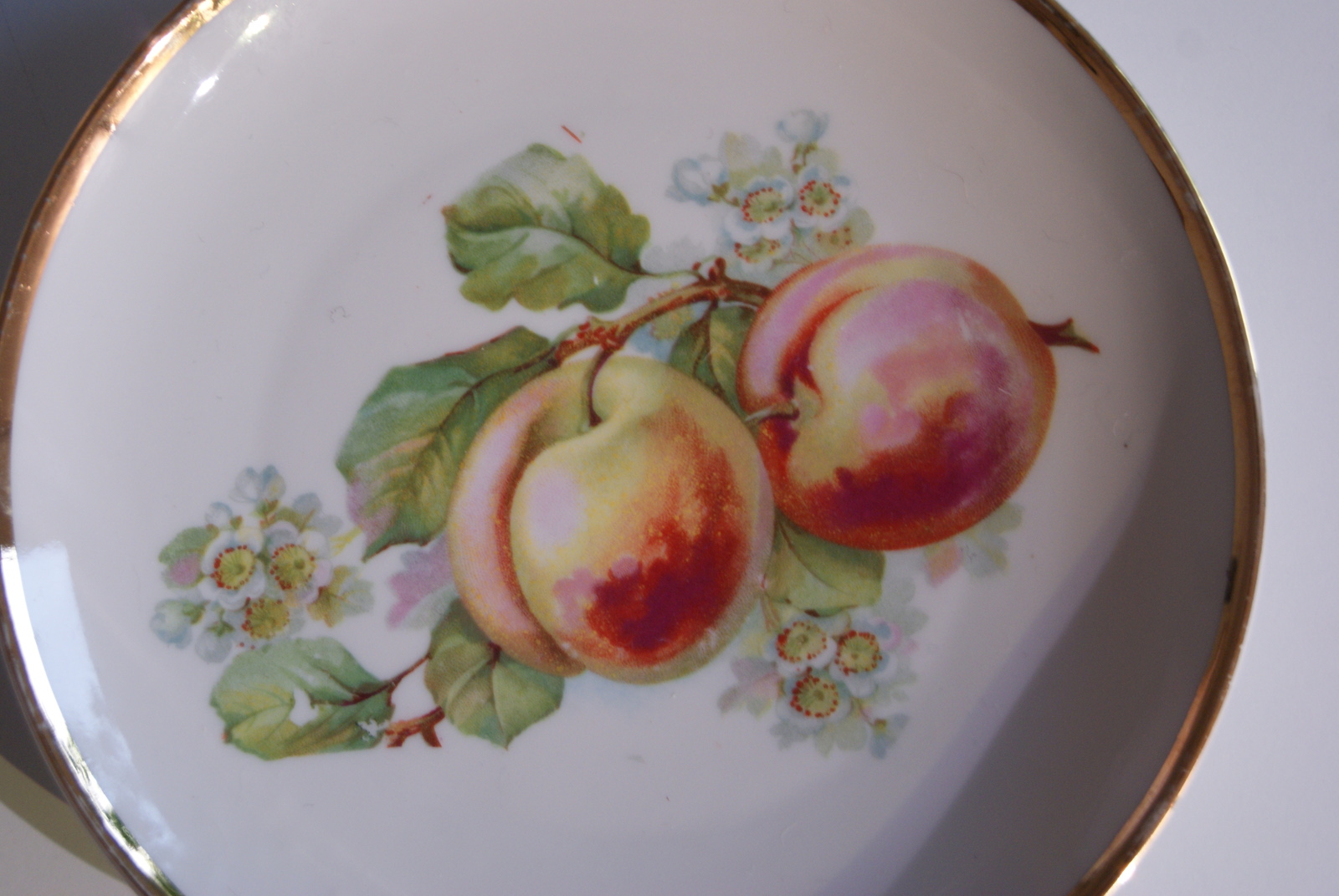Waldenburg - Altwasser plate with peaches 1929