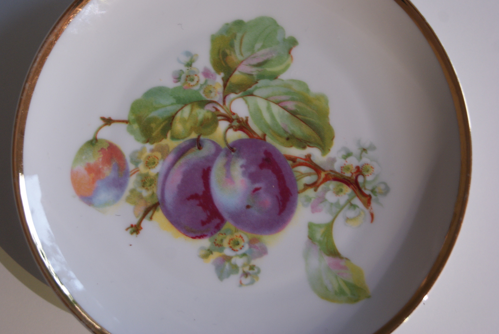 Waldenburg - Altwasser plate with plums 1929