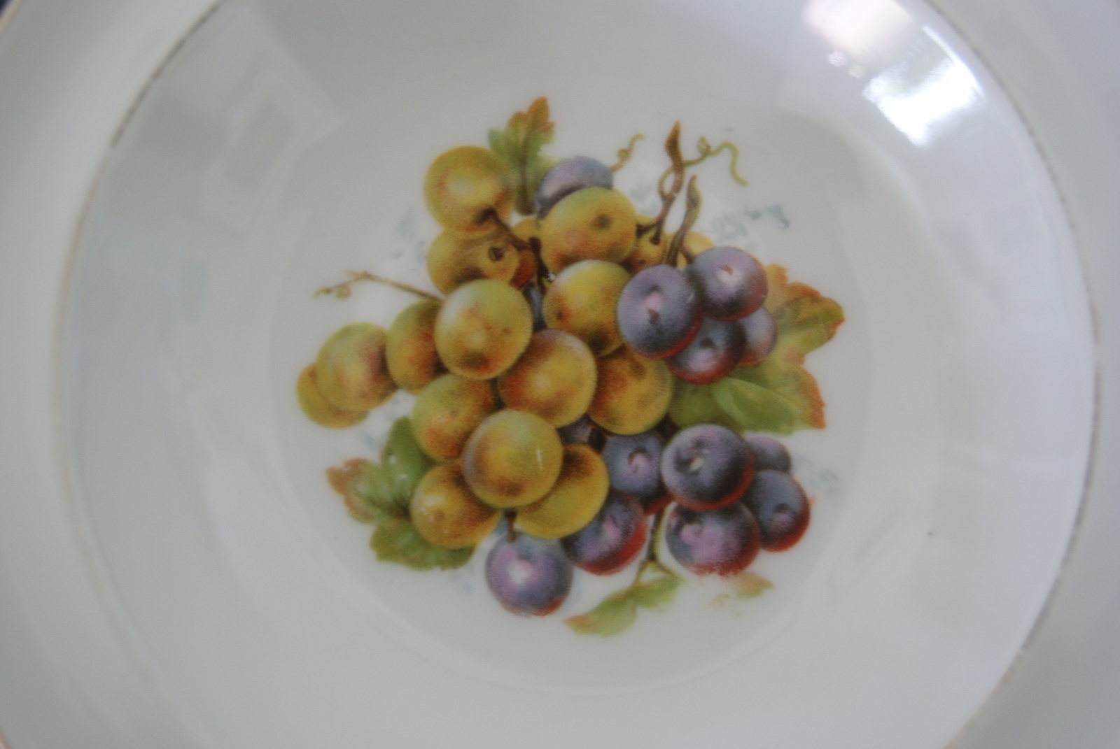 Waldenburg - Altwasser bowl with grapes 1928
