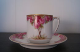 Waldenburg – Altwasser coffee cup and saucer with beautiful Art Nouveau roses