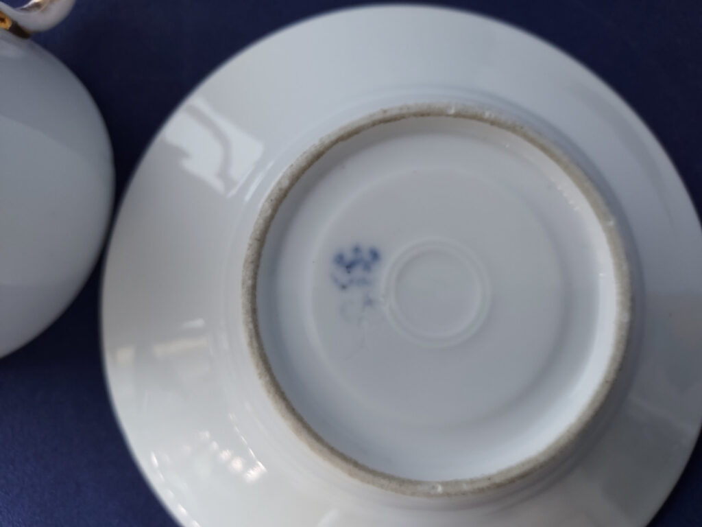 Waldenburg – Altwasser cup with saucer with flowers